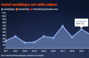 Honderden aanrijdingen met wilde zwijnen per jaar.